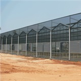 VVV Venlo greenhouse