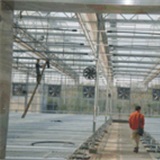 VVV Venlo greenhouse