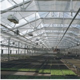 Specific greenhouse