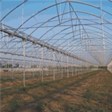 Arco de circulo film greenhouse