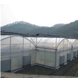 Multi span arch plastic greenhouse