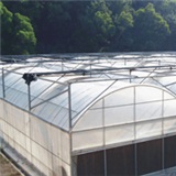 Multi span arch plastic greenhouse